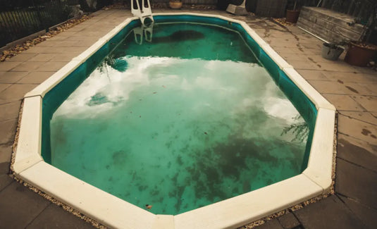 Green Algae: Seven Tips to Get Rid of Them ASAP! iopool