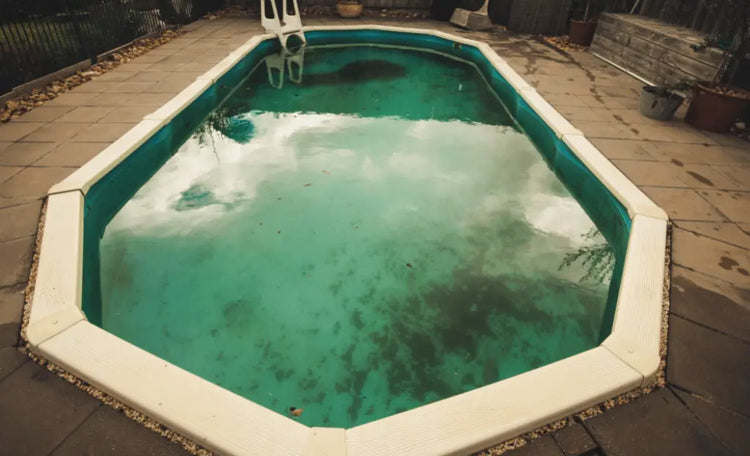 Green Algae: Seven Tips to Get Rid of Them ASAP! iopool