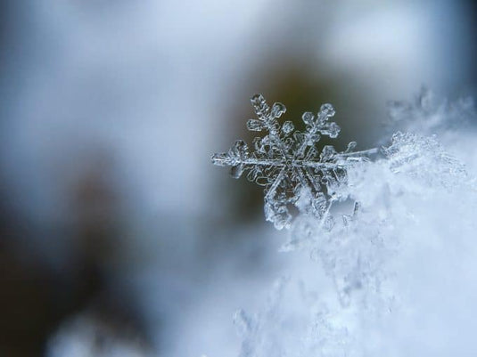 How to Cover Your Pool During the Winter iopool