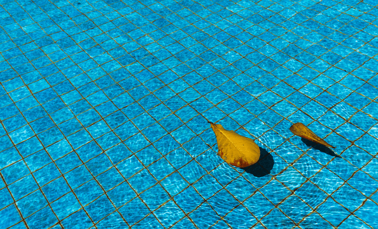 Reduce Your Pool's Environmental Impact iopool
