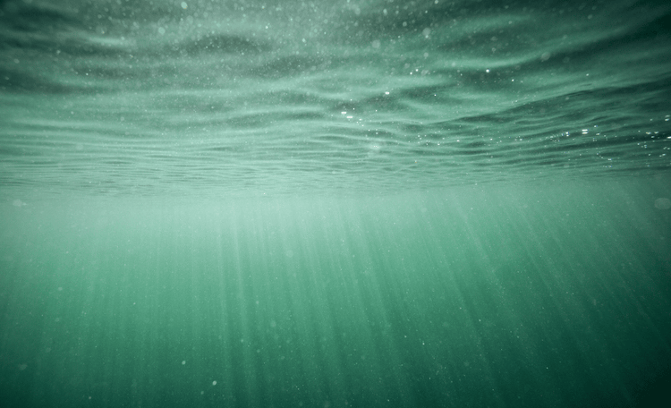 Shock Chlorine: How to Use It Perfectly? iopool