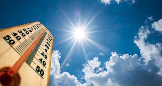 Heatwave and Pool: How to Limit the Damage? iopool