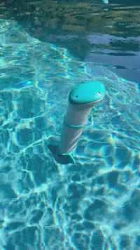 Load and play video in Gallery viewer, EcO Pilot - Automatic Pool Monitoring &amp; Chlorine Dosing
